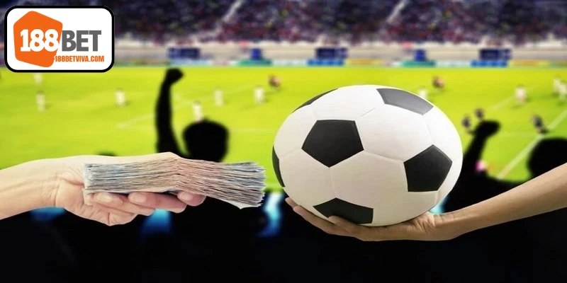 Cách đọc tỷ lệ trong hướng dẫn cá cược bóng đá